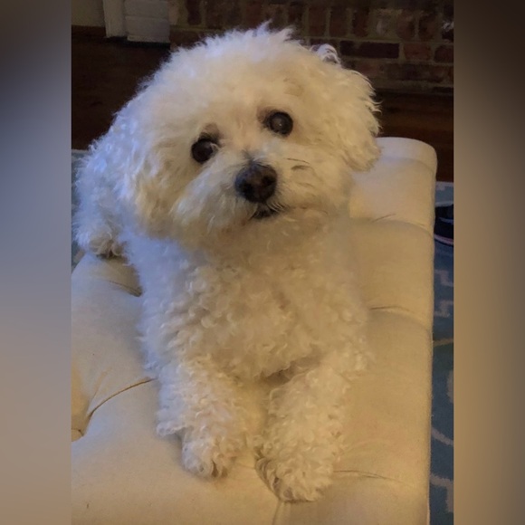 Welcome - Picture 8 of 16